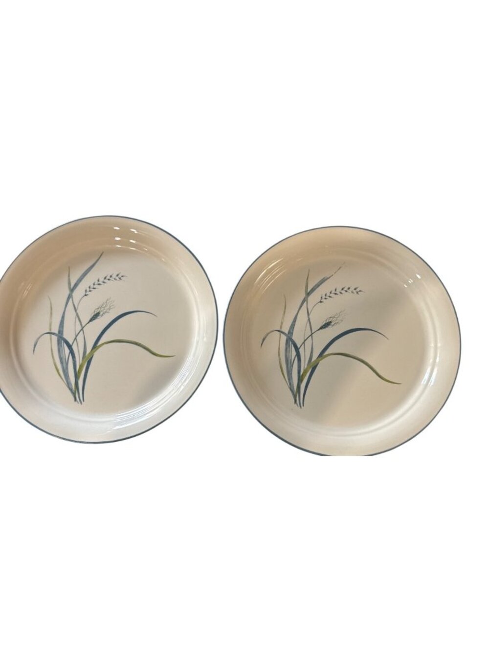Corelle Pair Of 10.25" Coastal Breeze Dinner Plates Grasses Pattern Ivory USA
